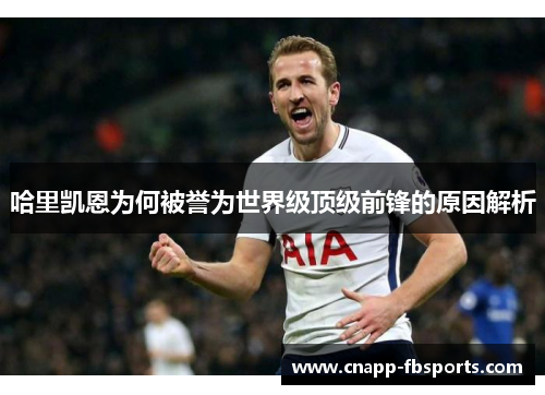 哈里凯恩为何被誉为世界级顶级前锋的原因解析