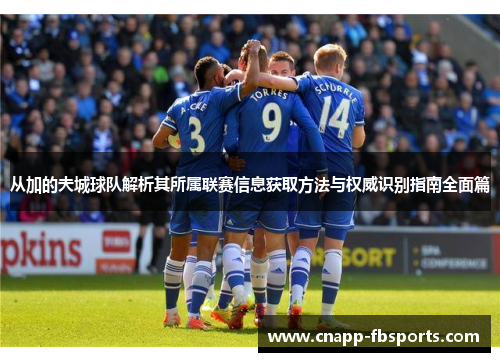 从加的夫城球队解析其所属联赛信息获取方法与权威识别指南全面篇